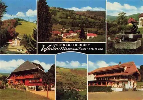 AK / Ansichtskarte 73989456 Wieden__Schwarzwald_BW Panorama Brunnen Hotel Berggasthaus