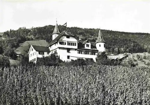 AK / Ansichtskarte  Marbach_Rheintal_SG Restaurant Schloss Weinstein