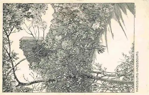 AK / Ansichtskarte  Habsburg_Schloss_AG Die Habsburg Kuenstlerkarte