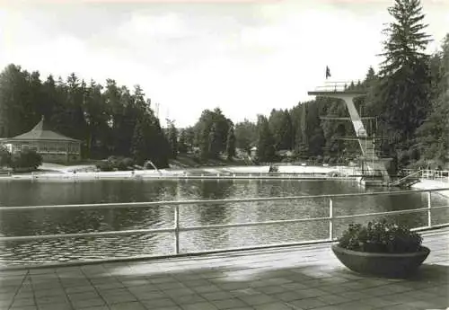 AK / Ansichtskarte  Brunn_Auerbach Waldbad