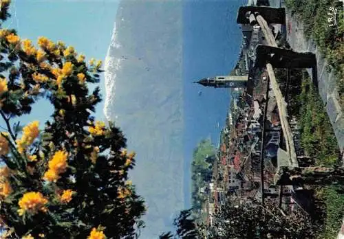 AK / Ansichtskarte  Ascona_Lago_Maggiore_TI Primavera con Mimosa