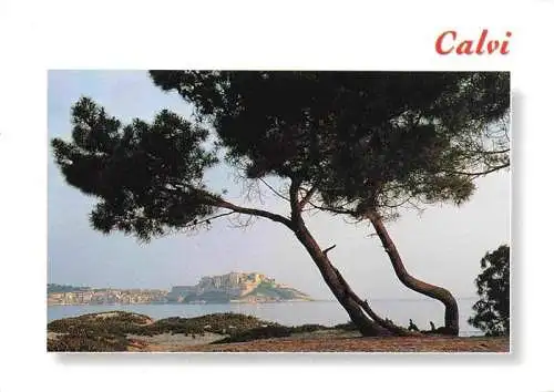 AK / Ansichtskarte  Calvi_2B_Haute-Corse Vue generale