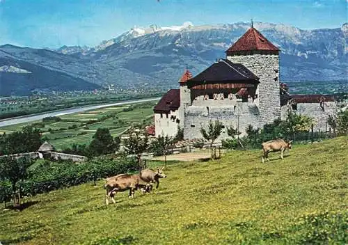 AK / Ansichtskarte  Vaduz_Liechtenstein_FL Schloss Castle Chateau Vaduz