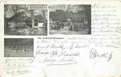 AK / Ansichtskarte  WINTERTHUR__ZH Bruderhaus Winterthur Teilansichten Tiergehege