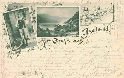 AK / Ansichtskarte  Iseltwald_BE Alphornblaeser Panorama