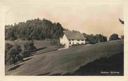 AK / Ansichtskarte  Baldern__uetliberg_ZH Panorama