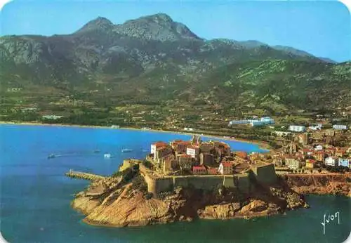 AK / Ansichtskarte  Calvi_2B_Haute-Corse La Citadelle vue du large et l'immense Plage bordée de pins Vue aerienne