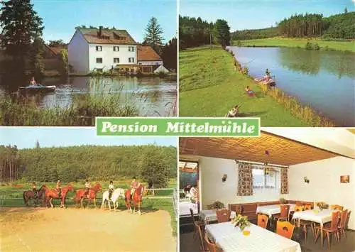 AK / Ansichtskarte 73990358 Erbendorf Pension Mittelmuehle Gaststube Reiter Angler