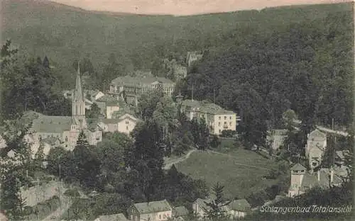 AK / Ansichtskarte  Schlangenbad_Taunus Totalansicht