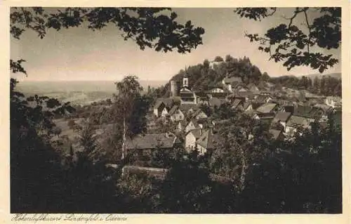 AK / Ansichtskarte  Lindenfels_Odenwald Panorama