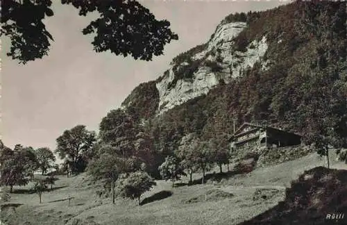 AK / Ansichtskarte  RueTLI_Vierwaldstaettersee_UR Panorama