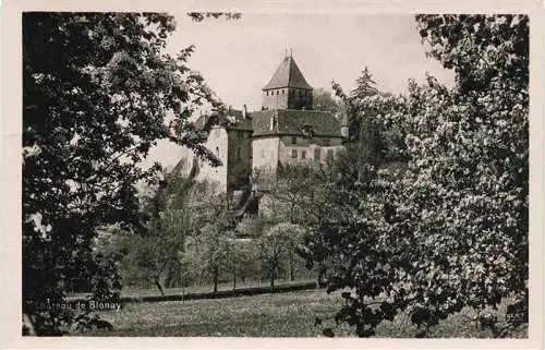 AK / Ansichtskarte  Blonay-sur-Vevey_Blonay-Saint-Legier_VD Chateau de Blonay