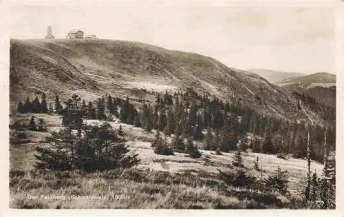 AK / Ansichtskarte  Feldberg_1450m_Schwarzwald Panorama