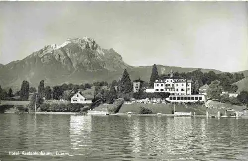AK / Ansichtskarte  LUZERN__LU Hotel Kastanienbaum