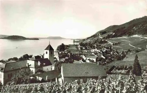 AK / Ansichtskarte  Twann_BE Douanne