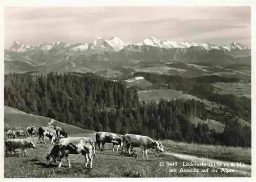 AK / Ansichtskarte  Luedernalp_Napf_BE mit Aussicht auf die Alpen