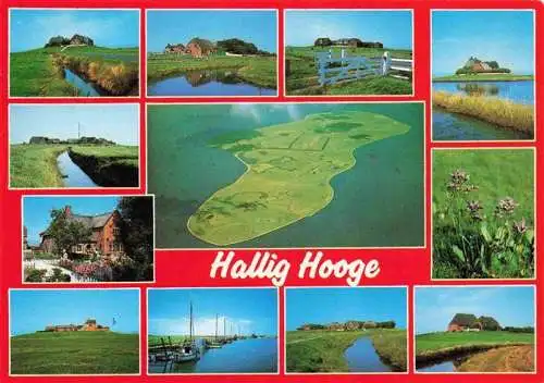 AK / Ansichtskarte  Hallig_Hooge Teilansichten Fliegeraufnahme