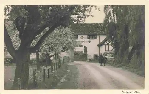 AK / Ansichtskarte  Diessenhofen_TG Torbogen Paradies