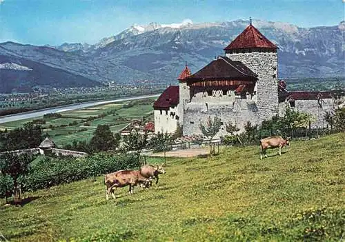 AK / Ansichtskarte  Vaduz_Liechtenstein_FL Fuerstenturm Liechtenstein Schloss Vaduz