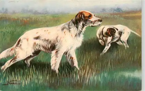 AK / Ansichtskarte  Hunde_dogs_chiens Cani da Caccia Setter inglese melato e Point su beccaccini