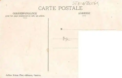 AK / Ansichtskarte  Steinbock_Capricorn_Capricorne_Capricornio-- J.J. 3162 Sommer Aiguille verte et le Mont Blanc