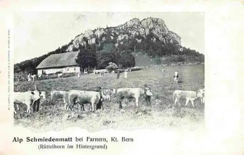 AK / Ansichtskarte  Farnern_Wangen_BE Alp Schmiedenmatt mit Ruettelhorn