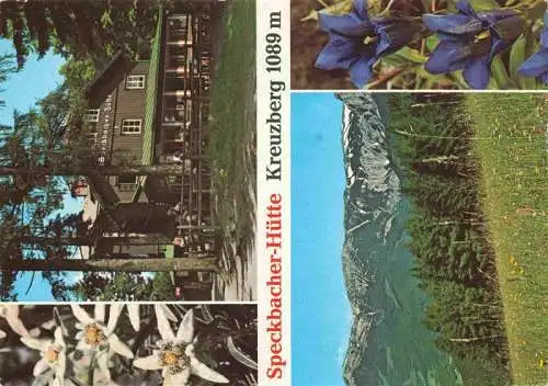 AK / Ansichtskarte  Breitenstein_Semmering_Niederoesterreich_AT Speckbauches Huette Panorama Alpenflora