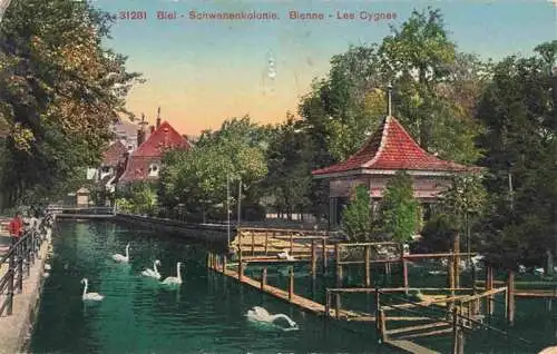 AK / Ansichtskarte  Biel_Bienne_BE Schwanenkolonie