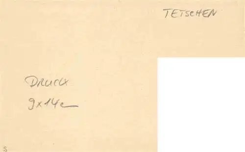 AK / Ansichtskarte  Tetschen-Bodenbach_Boehmen_DECIN_CZ Kettenbruecke Schloss