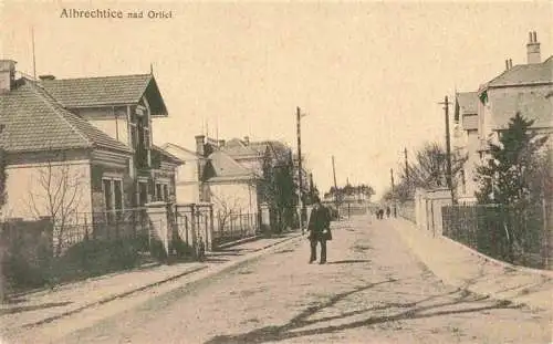 AK / Ansichtskarte  Albrechtice_nad_Orlici_Albrechtsdorf_Adler_CZ Strassenpartie