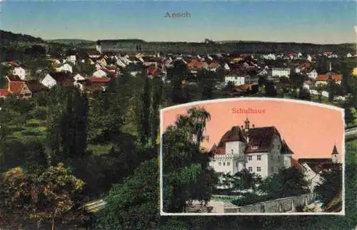 AK / Ansichtskarte  Aesch__BL Panorama Schulhaus