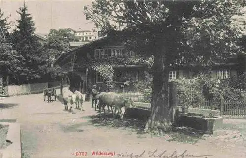 AK / Ansichtskarte  Wilderswil_Wilderswyl_BE Bauernhof Kuhtraenke