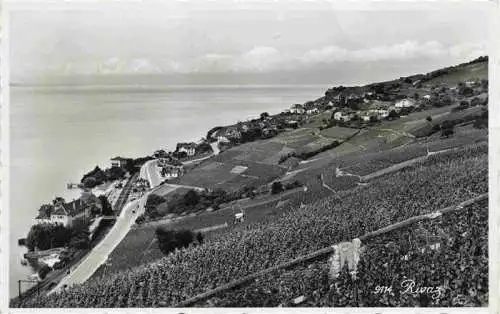 AK / Ansichtskarte  Rivaz_Lavaux_VD Panorama
