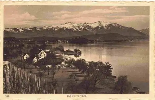 AK / Ansichtskarte  Rapperswil_BE Panorama