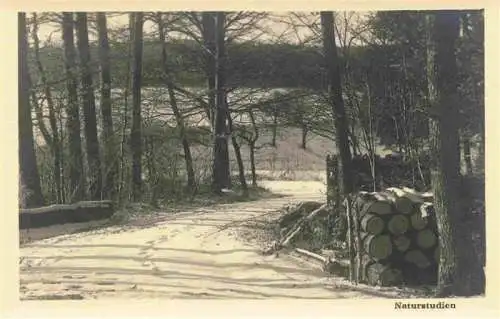 AK / Ansichtskarte  SCHAFFHAUSEN__SH Engewaldpartie