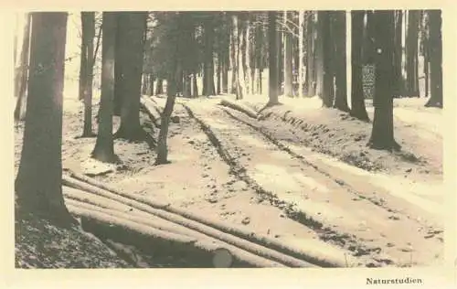 AK / Ansichtskarte  SCHAFFHAUSEN__SH Engewaldpartie