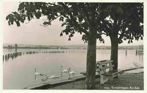 AK / Ansichtskarte  Ermatingen_Untersee_TG Am See