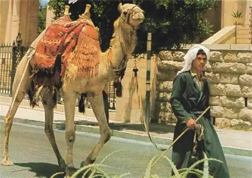 AK / Ansichtskarte  Jerusalem__Yerushalayim_Israel Old City Street Scene