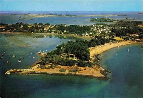 AK / Ansichtskarte  Ile-aux-Moines_56_Morbihan Le Bois d'Amour et la plage du Drenn Vue aerienne