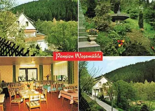 AK / Ansichtskarte  Frankenau_Hessen Pension Wesemuehle Gastraum Park