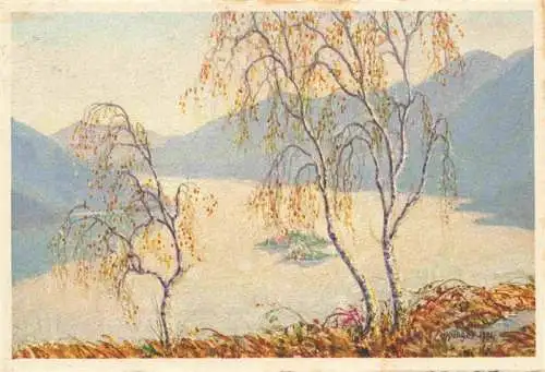 AK / Ansichtskarte  Brissago_Lago_Maggiore_TI Vista sulle Isole di Brissago