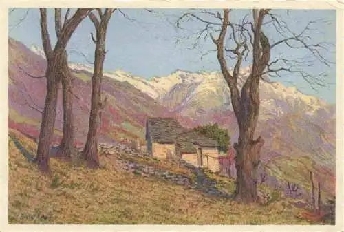 AK / Ansichtskarte  Monti-Trinita_LOCARNO_Lago_Maggiore_TI Motivo rustico