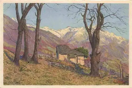 AK / Ansichtskarte  Monti-Trinita_LOCARNO_Lago_Maggiore_TI Motivo rustico