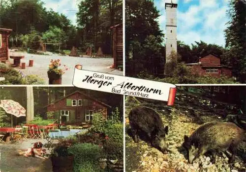 AK / Ansichtskarte  Bad_Grund Iberger Albertturm Park Restaurant Wildschweine