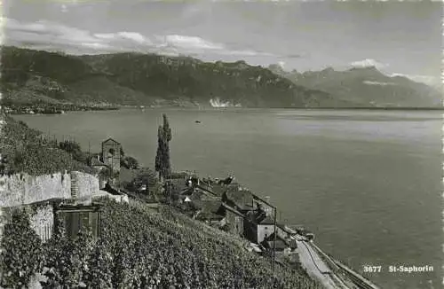 AK / Ansichtskarte  St_Saphorin_Lavaux_VD Panorama