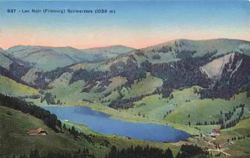 AK / Ansichtskarte  Lac_Noir_Schwarzer_See_88_Vosges Vue aerienne
