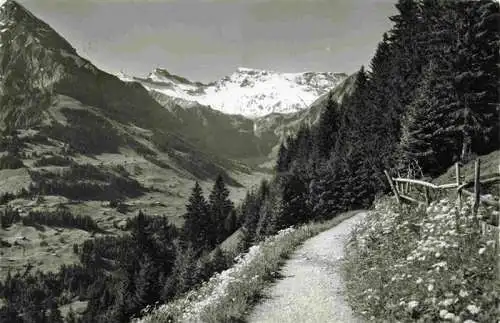 AK / Ansichtskarte  Adelboden_BE mit Tierhoernli Steghorn Wildstrubel