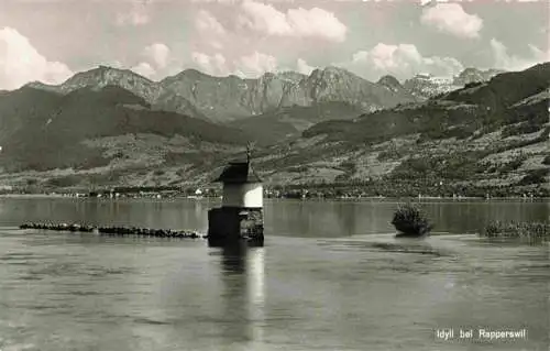 AK / Ansichtskarte  Rapperswil_-Jona_Rapperswyl_Zuerichsee_SG Panorama