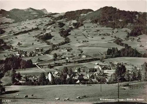 AK / Ansichtskarte  Krummenau__Toggenburg_SG Blick zum Speer