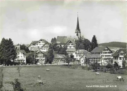 AK / Ansichtskarte 13992630 Stein_AR Teilansicht mit Kirche